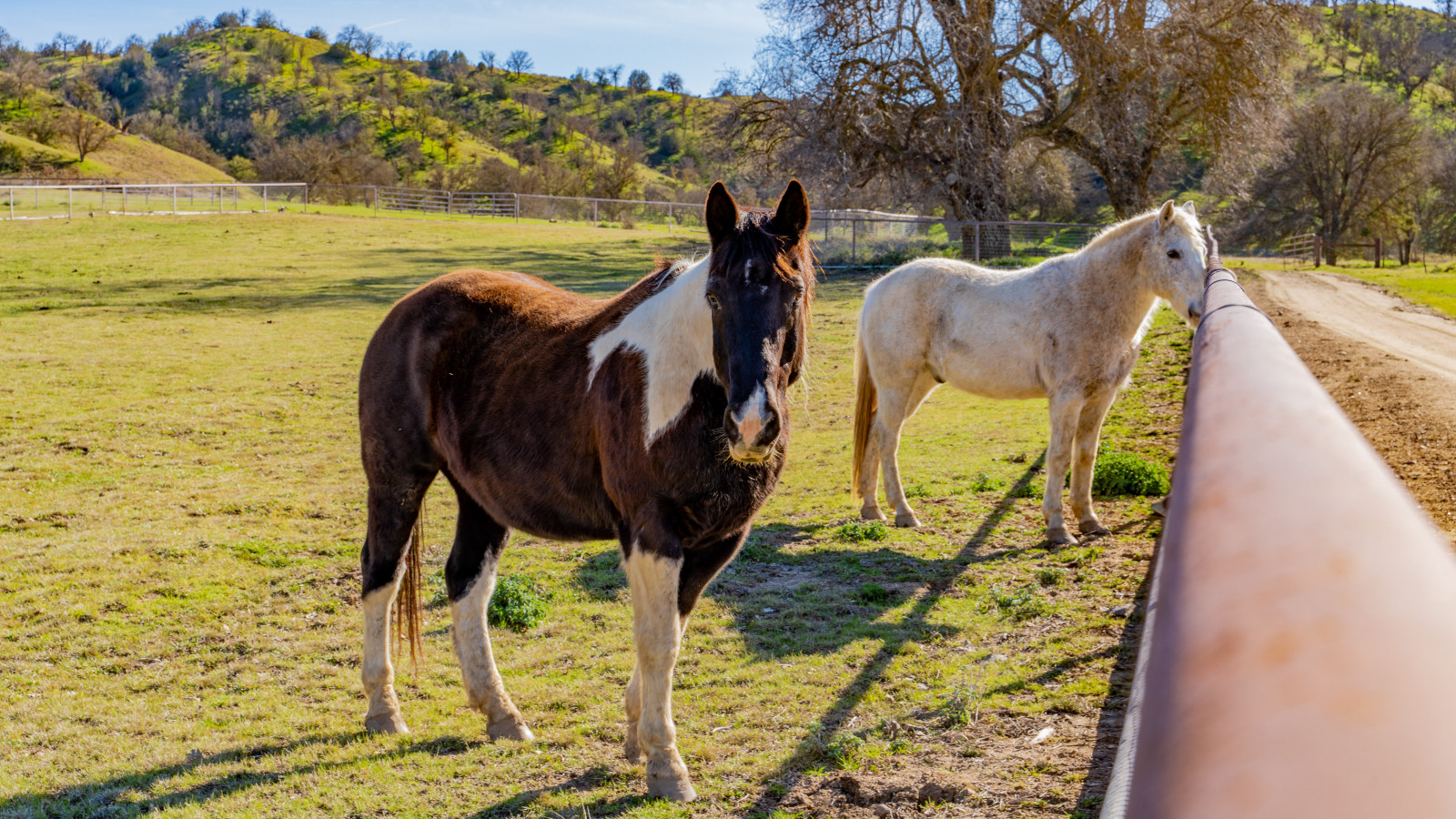 Clark Company La Panza Ranch