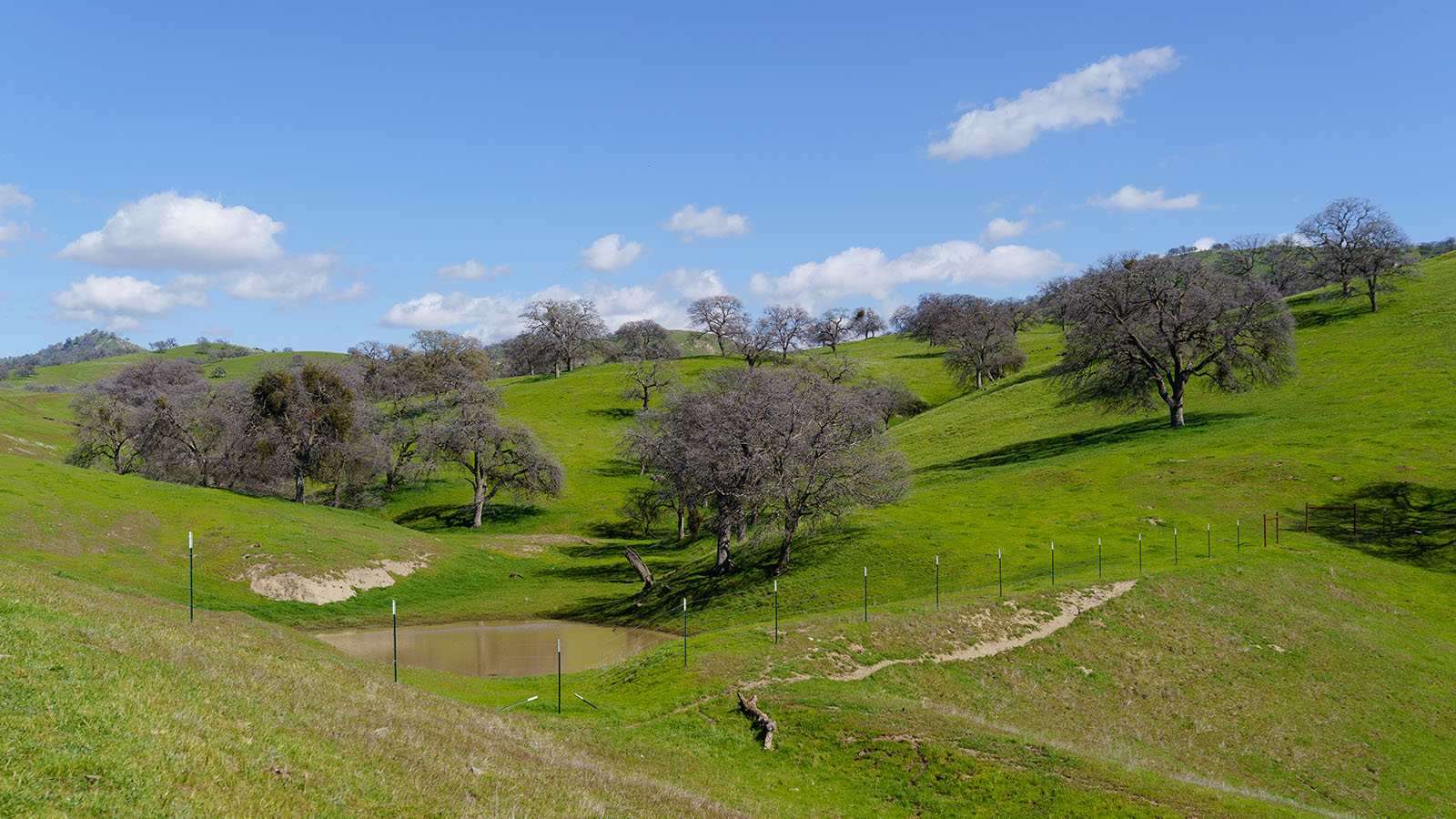 Clark Company Pampa Ranch