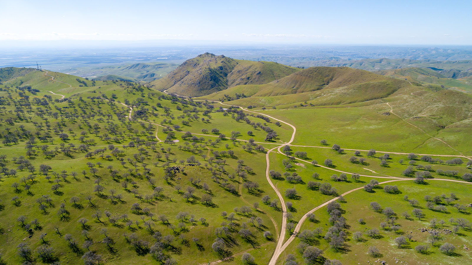 Clark Company Pampa Ranch