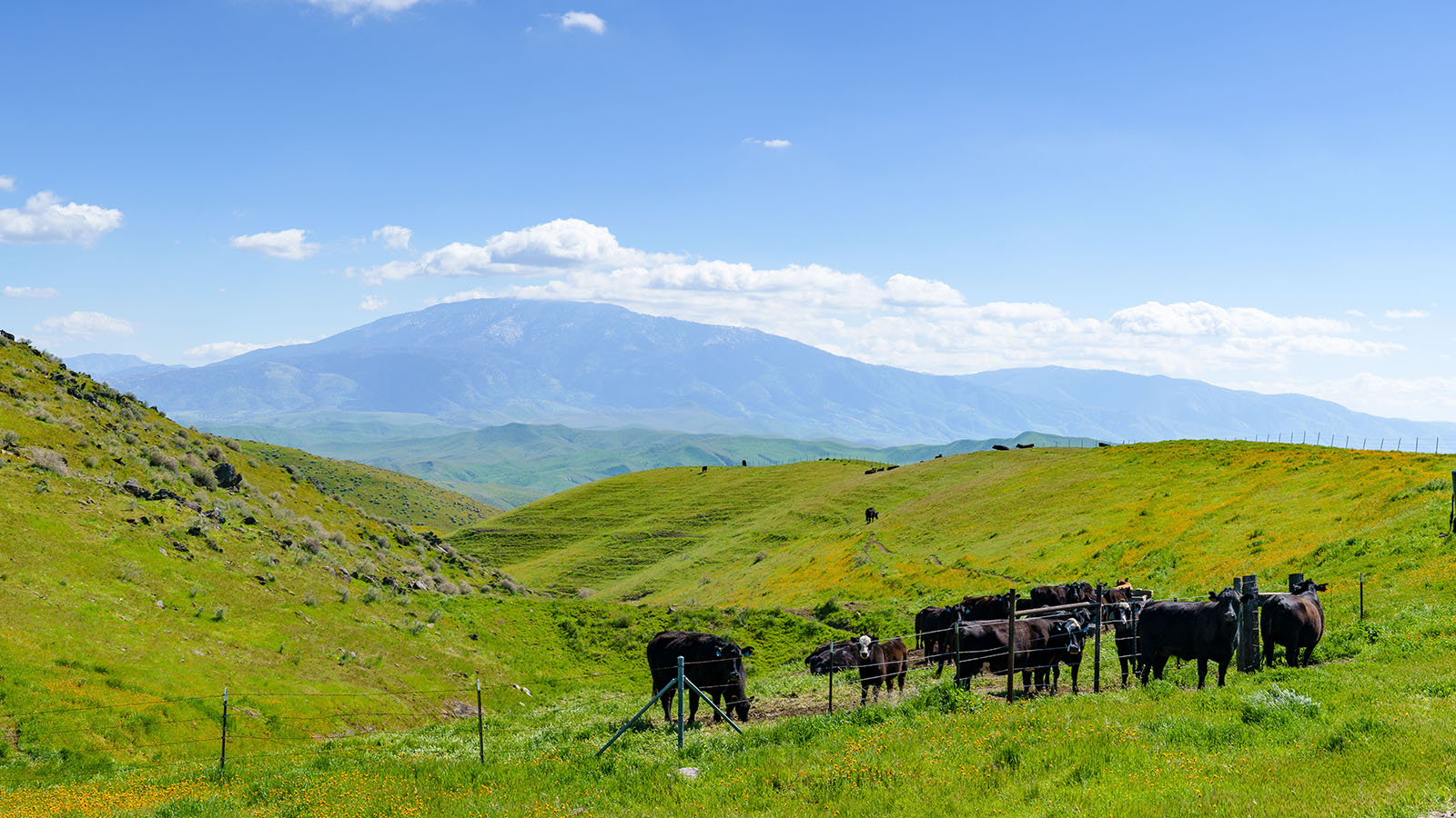 Clark Company Pampa Ranch