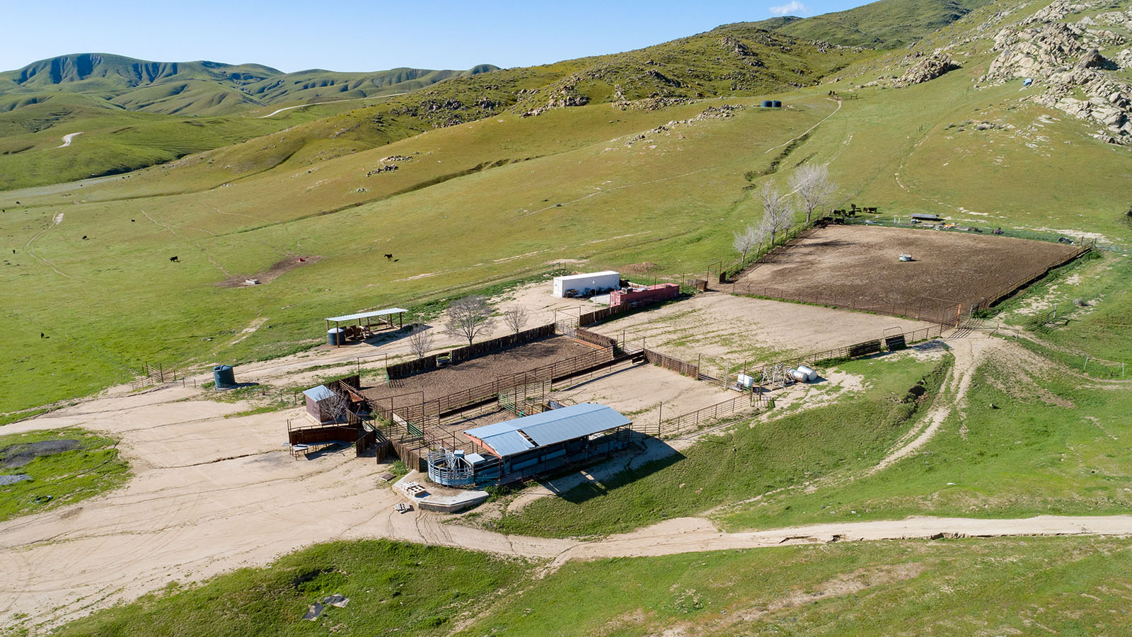 Clark Company Pampa Ranch