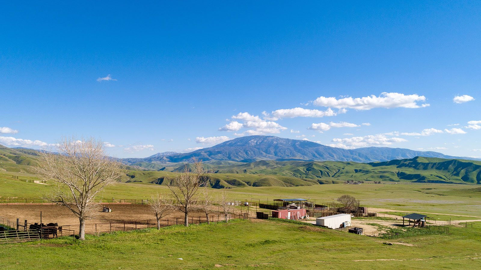 Clark Company Pampa Ranch