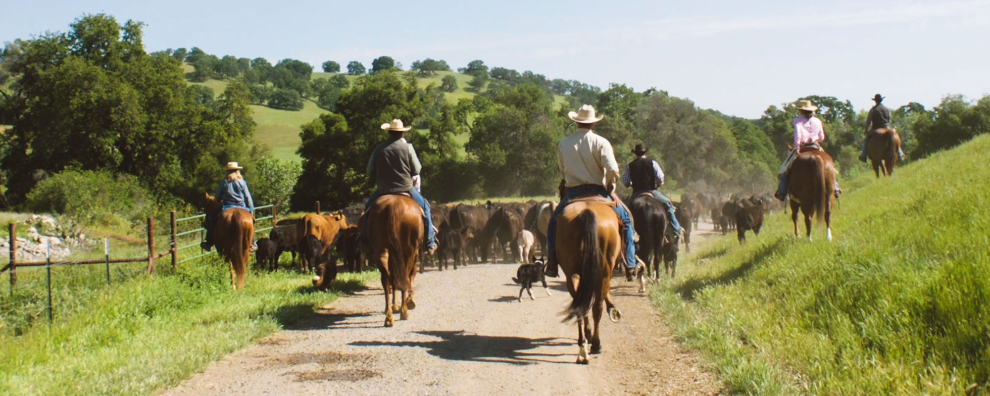 2022 Ag Spotlight: California Rangeland Trust