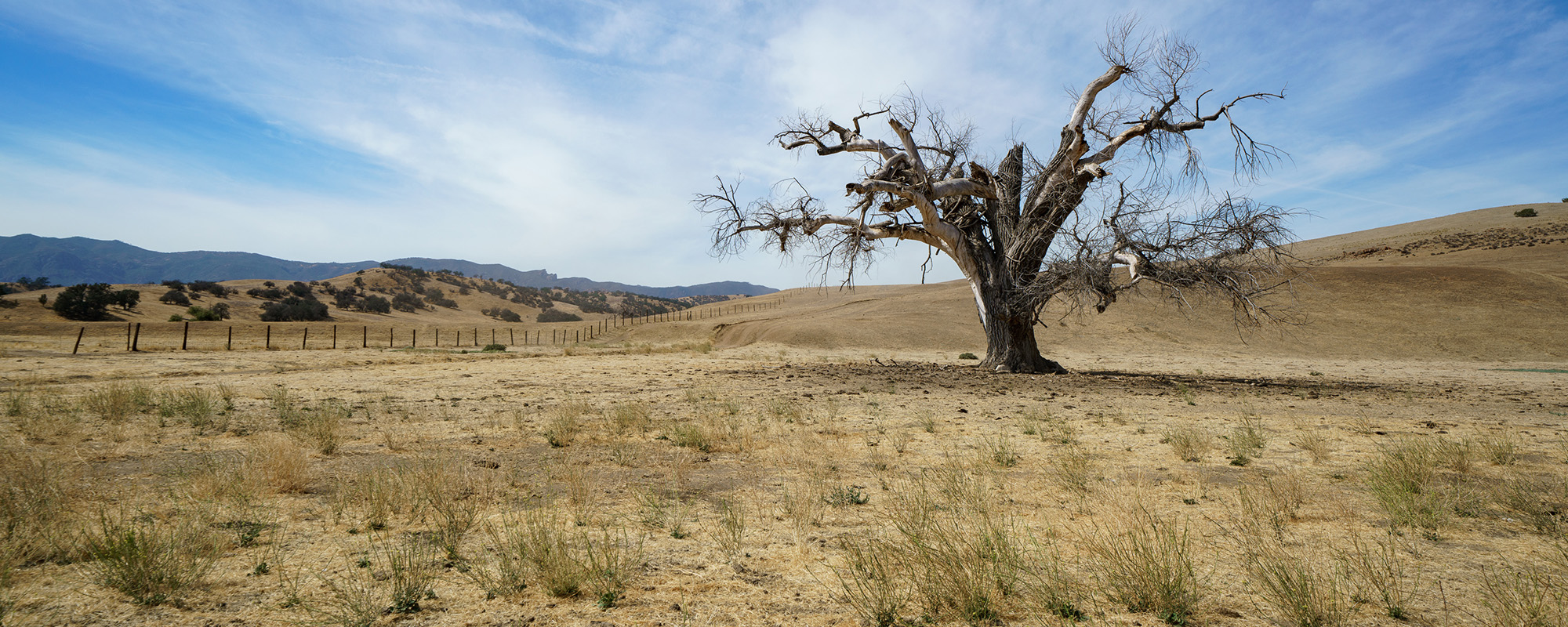 California Drought Series: Episode 2