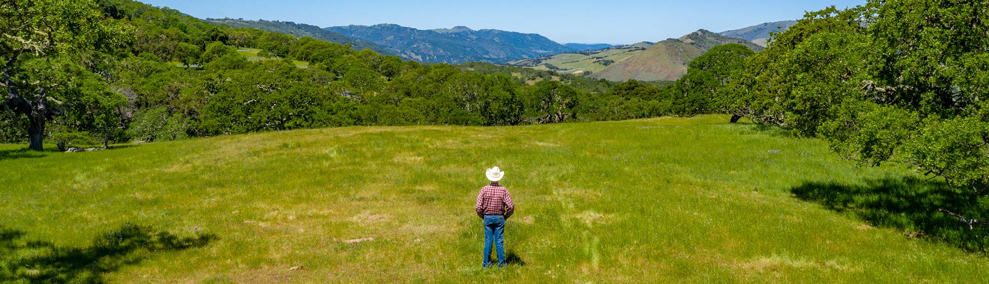 Ranch Management