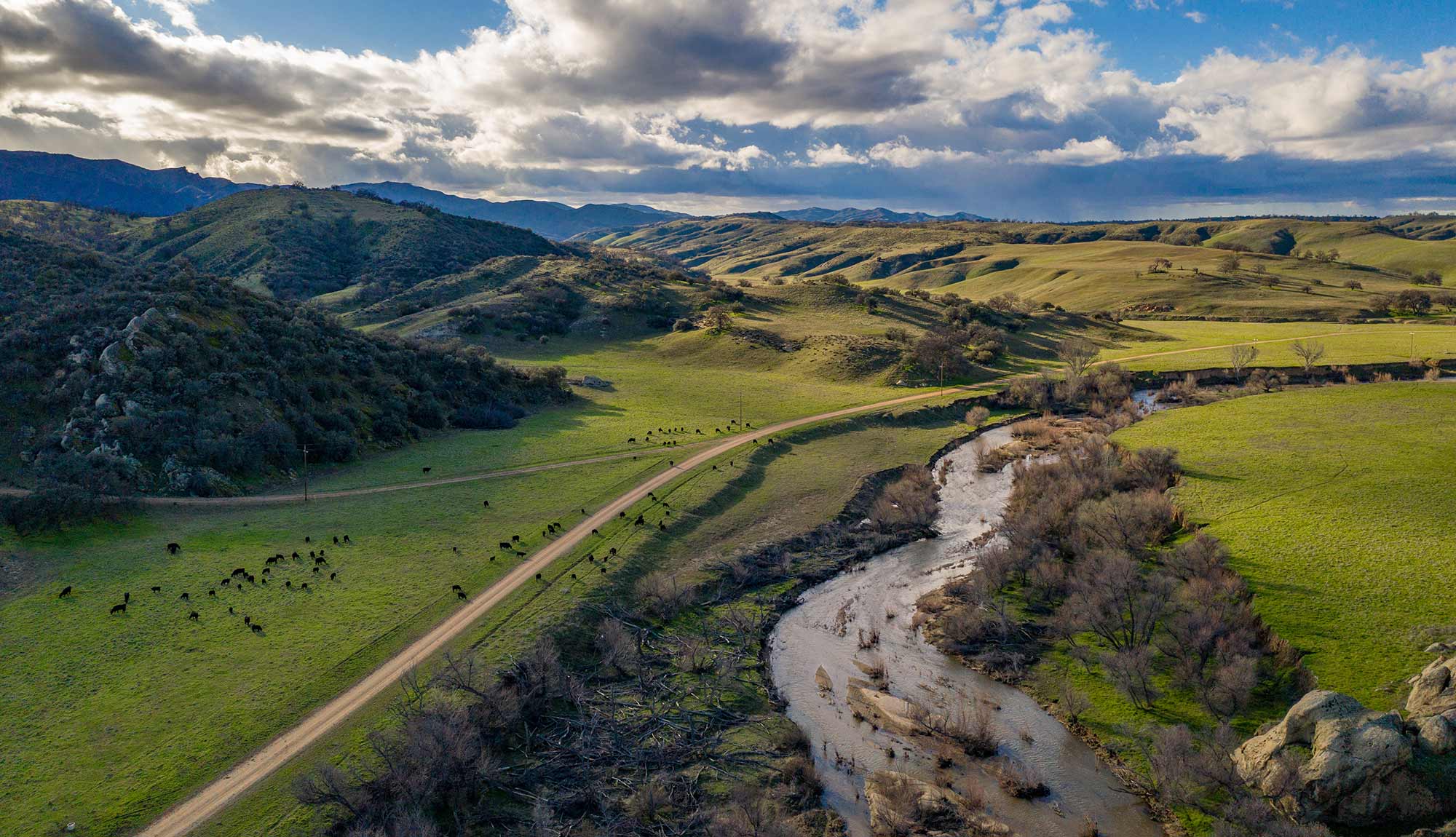 Paso Robles Ranch Real Estate