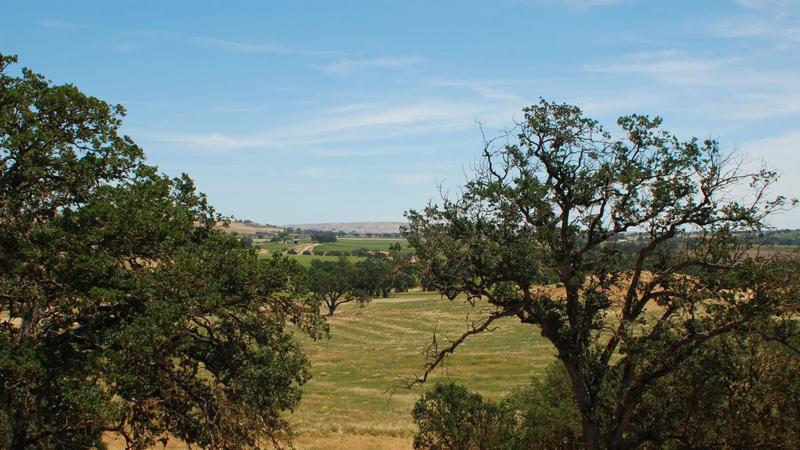 Hardham Ranch – Paso Robles, California