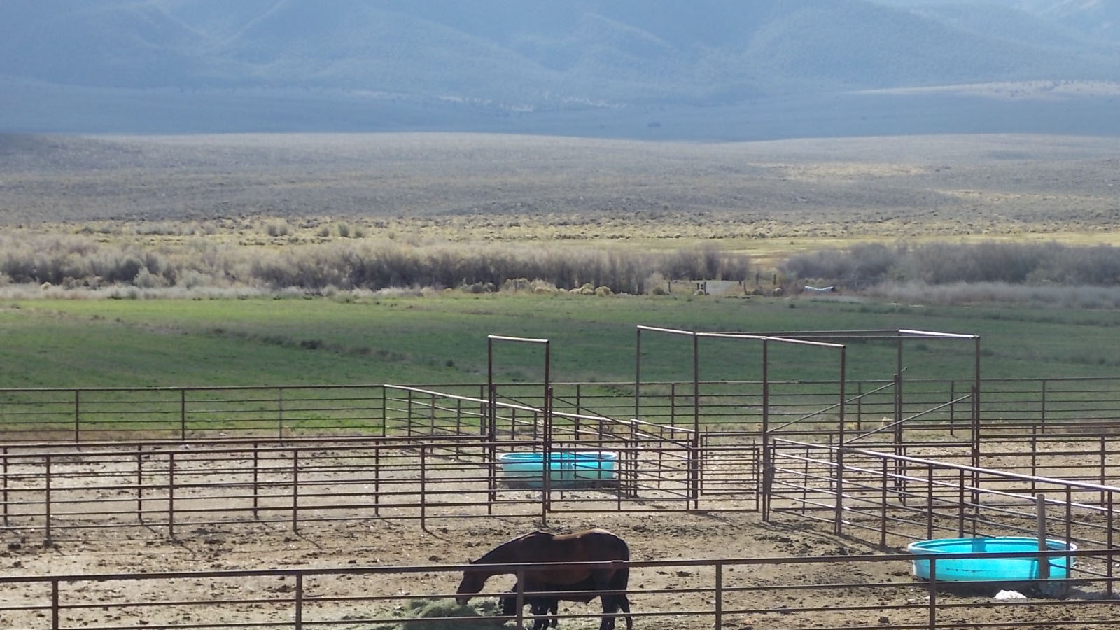 Reese River Valley Ranch | Clark Company Ranch Real Estate
