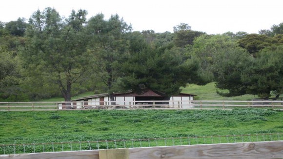 Sleepy Farm Ranch