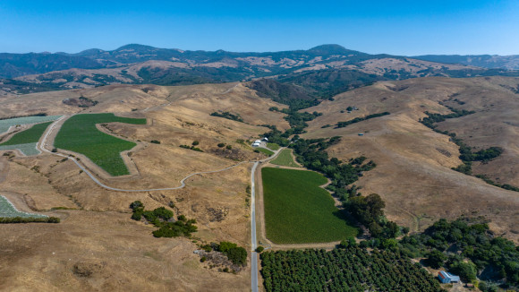 Derbyshire Ranch & Vineyard